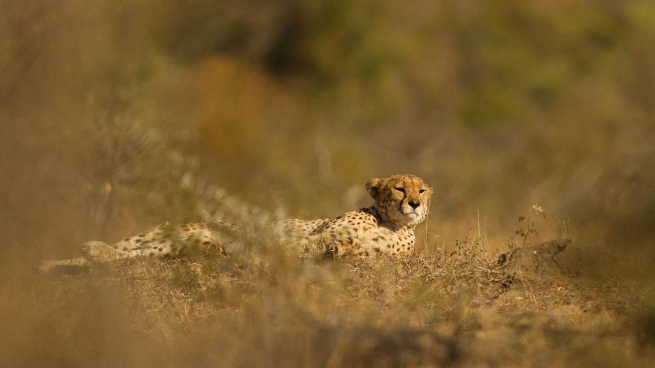 Отель Kwalucia Private Safari Retreat Сент-Люсия Экстерьер фото