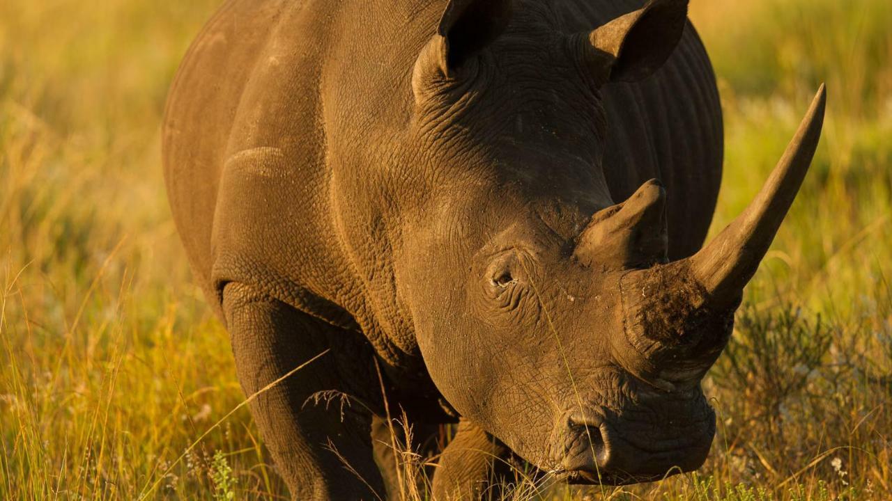 Отель Kwalucia Private Safari Retreat Сент-Люсия Экстерьер фото