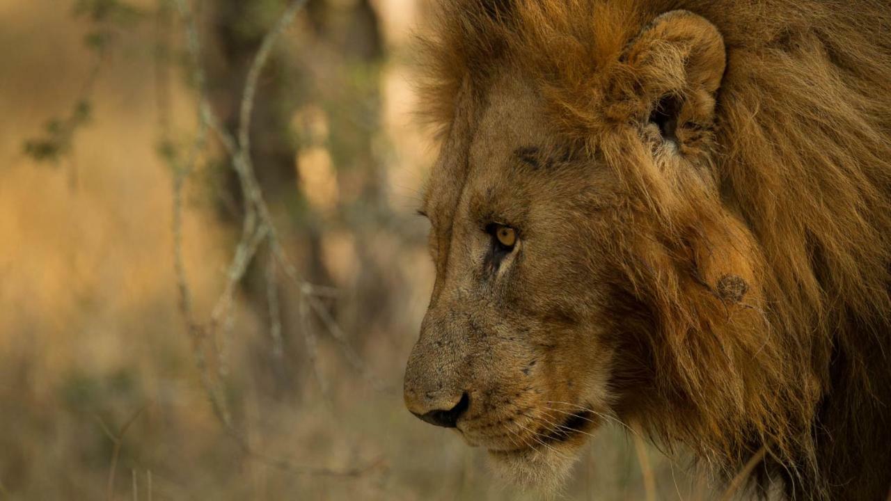 Отель Kwalucia Private Safari Retreat Сент-Люсия Экстерьер фото