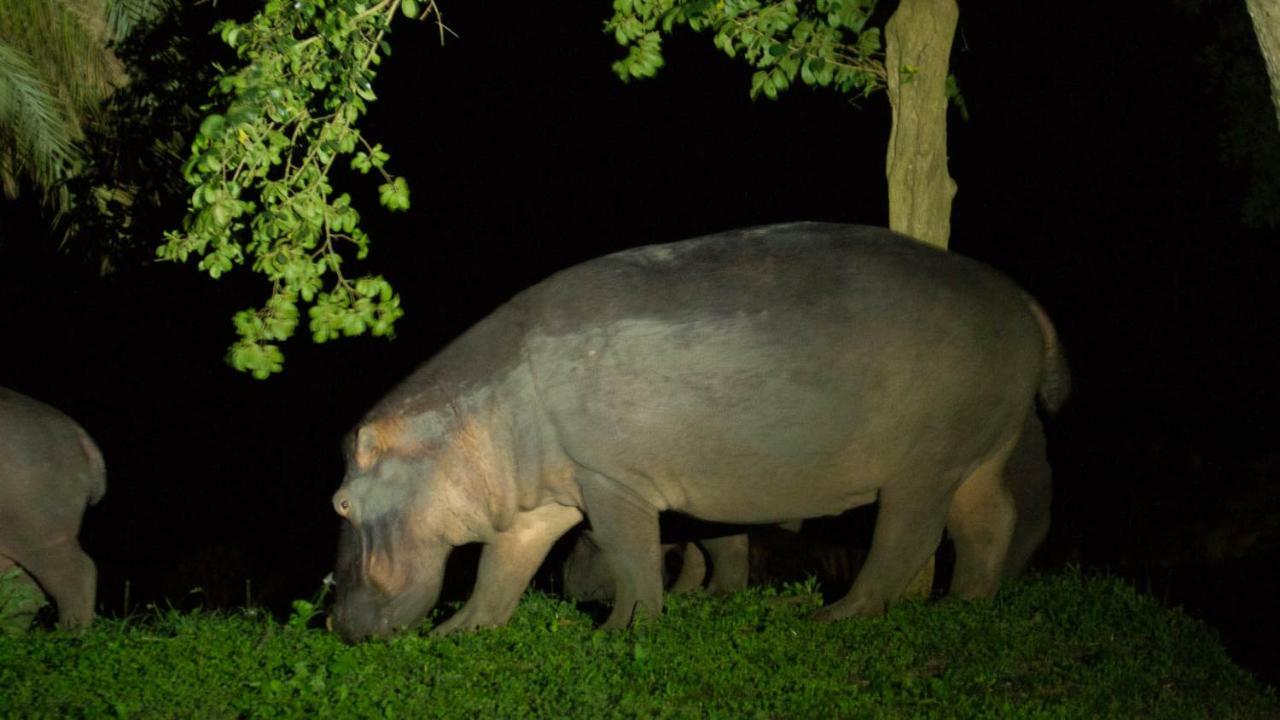 Отель Kwalucia Private Safari Retreat Сент-Люсия Экстерьер фото