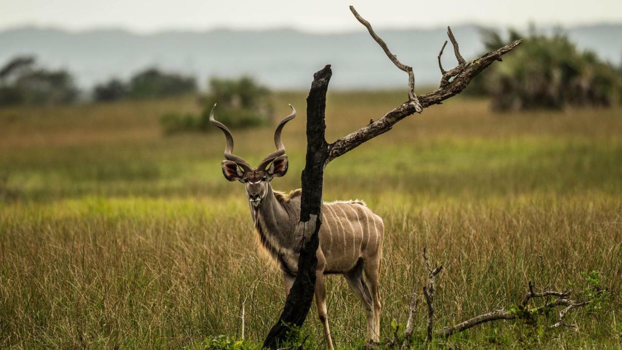 Отель Kwalucia Private Safari Retreat Сент-Люсия Экстерьер фото
