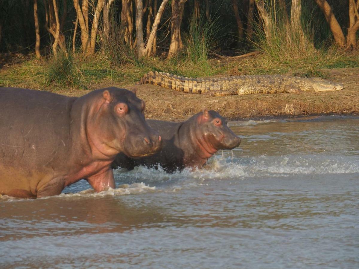 Отель Kwalucia Private Safari Retreat Сент-Люсия Экстерьер фото