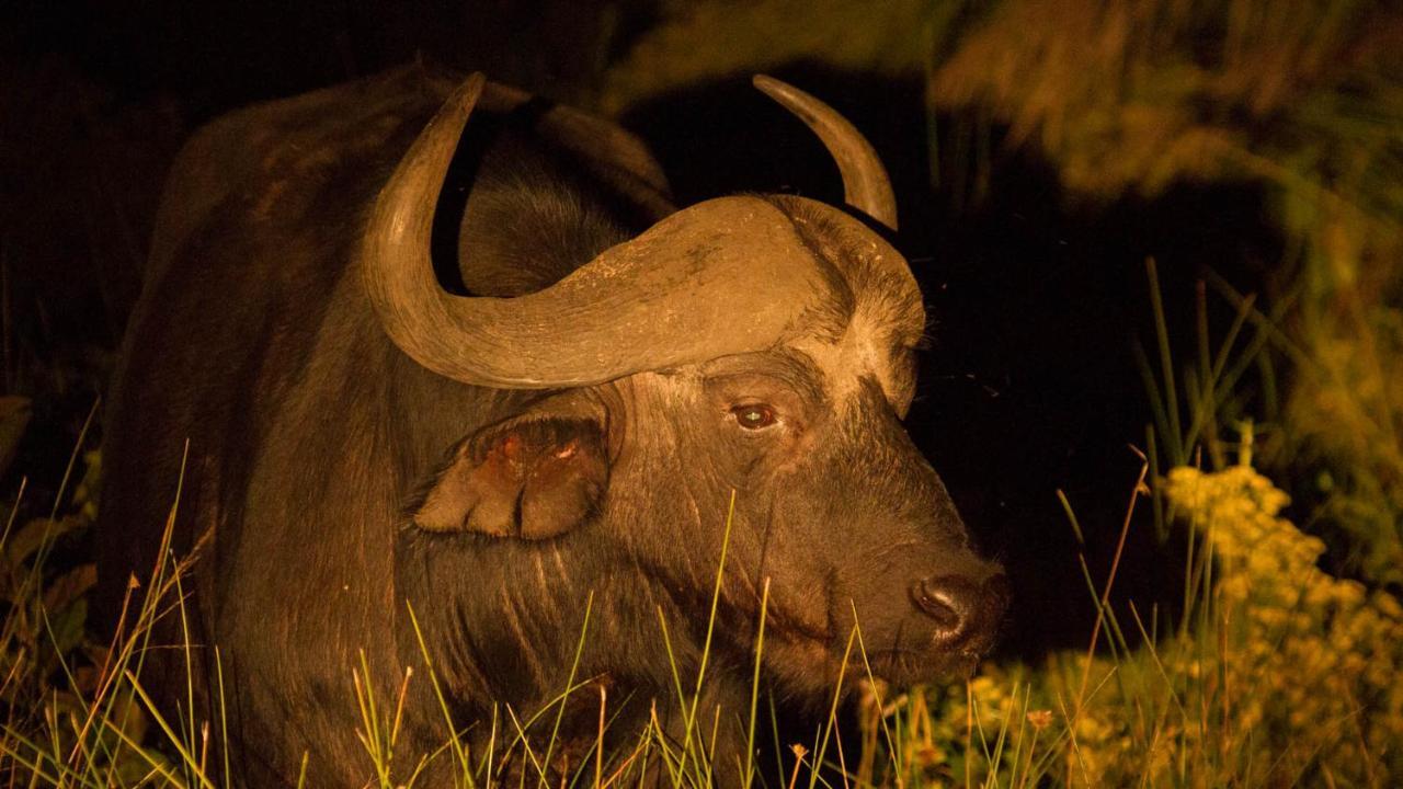 Отель Kwalucia Private Safari Retreat Сент-Люсия Экстерьер фото